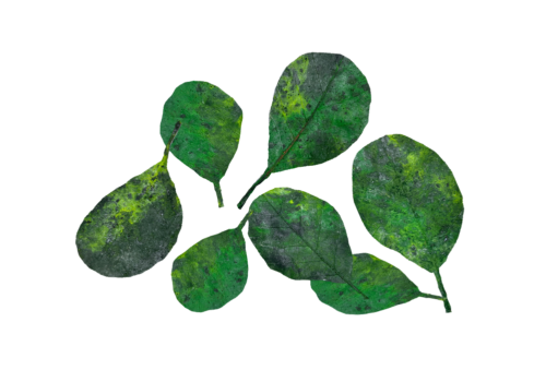Fallen green leaves for aquarium artificial decorations that are realistic for luxury fish tanks aquascaping aquadecor shop d 35